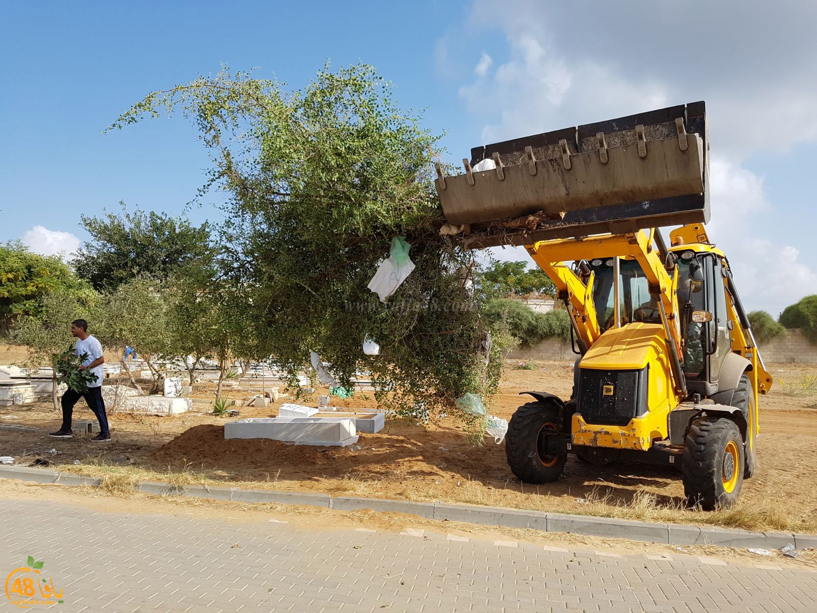 tasoo tandefet (64).jpg